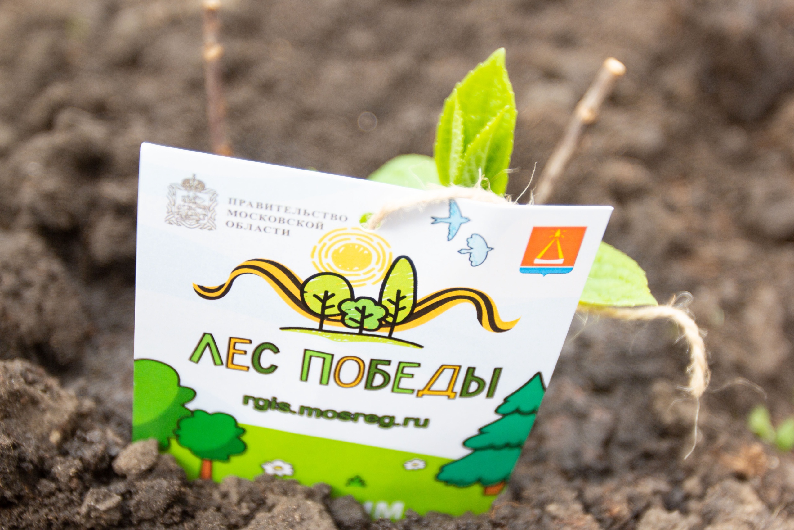 30.04 посадка деревьев 7